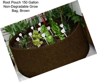 Root Pouch 150 Gallon Non-Degradable Grow Bag, Brown