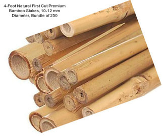 4-Foot Natural First Cut Premium Bamboo Stakes, 10-12 mm Diameter, Bundle of 250