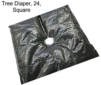 Tree Diaper, 24\