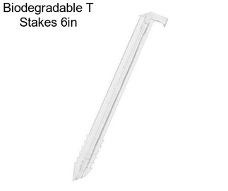 Biodegradable T Stakes 6in