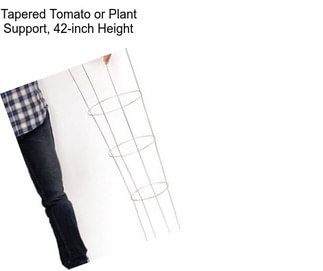 Tapered Tomato or Plant Support, 42-inch Height