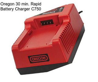 Oregon 30 min. Rapid Battery Charger C750