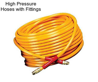 High Pressure Hoses with Fittings
