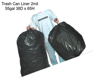 Trash Can Liner 2mil 55gal 38\