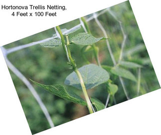 Hortonova Trellis Netting, 4 Feet x 100 Feet