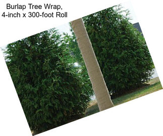Burlap Tree Wrap, 4-inch x 300-foot Roll