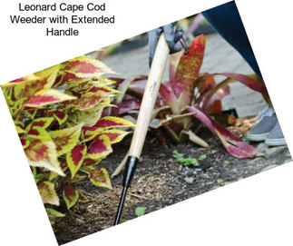 Leonard Cape Cod Weeder with Extended Handle