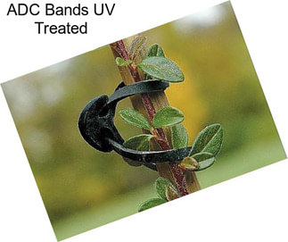 ADC Bands UV Treated