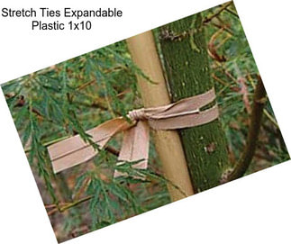 Stretch Ties Expandable Plastic 1\