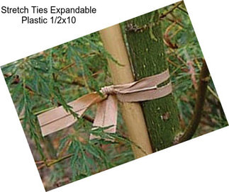 Stretch Ties Expandable Plastic 1/2\