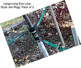 Large-Long Eye Loop Style Jeri-Rigg, Pack of 2