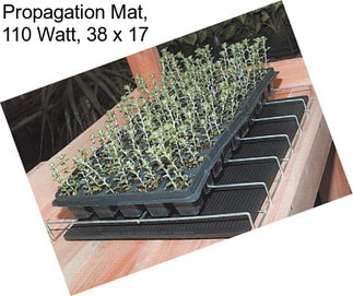 Propagation Mat, 110 Watt, 38\