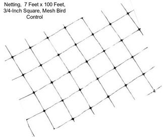 Netting,  7 Feet x 100 Feet, 3/4-Inch Square, Mesh Bird Control