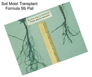 Soil Moist Transplant Formula 5lb Pail