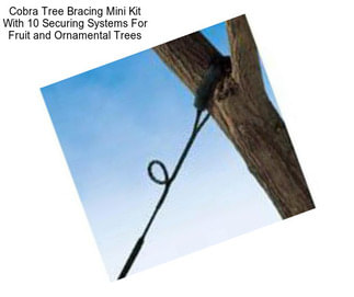 Cobra Tree Bracing Mini Kit With 10 Securing Systems For Fruit and Ornamental Trees