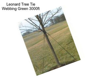 Leonard Tree Tie Webbing Green 3000ft