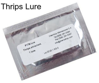 Thrips Lure