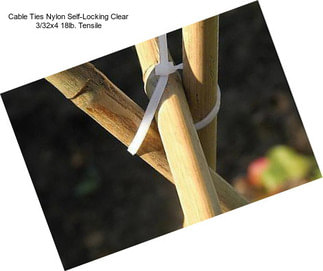 Cable Ties Nylon Self-Locking Clear 3/32\