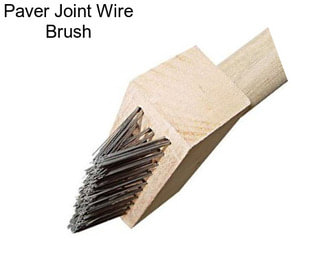 Paver Joint Wire Brush