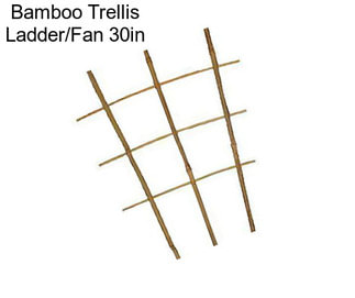Bamboo Trellis Ladder/Fan 30in