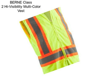 BERNE Class 2 Hi-Visibility Multi-Color Vest