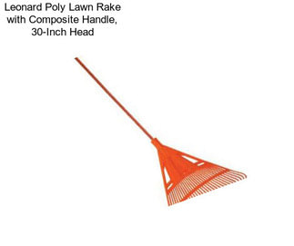 Leonard Poly Lawn Rake with Composite Handle, 30-Inch Head