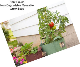 Root Pouch Non-Degradable Reusable Grow Bags