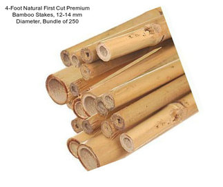 4-Foot Natural First Cut Premium Bamboo Stakes, 12-14 mm Diameter, Bundle of 250