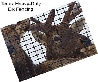 Tenax Heavy-Duty Elk Fencing