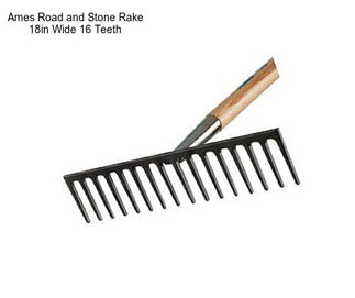 Ames Road and Stone Rake 18in Wide 16 Teeth