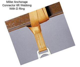 Miller Anchorage Connector 6ft Webbing With D Ring