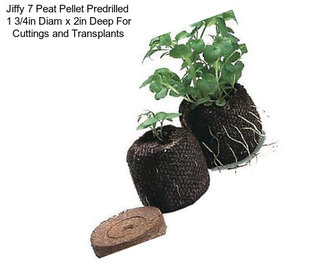 Jiffy 7 Peat Pellet Predrilled  1 3/4in Diam x 2in Deep For Cuttings and Transplants