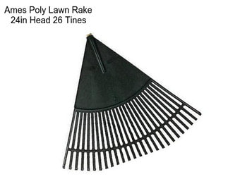 Ames Poly Lawn Rake 24in Head 26 Tines