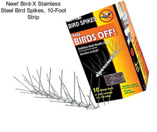 New! Bird-X Stainless Steel Bird Spikes, 10-Foot Strip