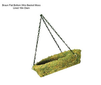 Braun Flat Bottom Wire Basket Moss Lined 16in Diam