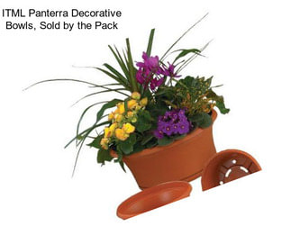 ITML Panterra Decorative Bowls, Sold by the Pack