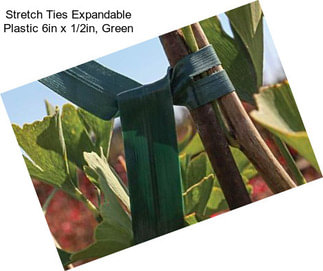 Stretch Ties Expandable Plastic 6in x 1/2in, Green