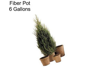 Fiber Pot 6 Gallons