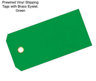 Prewired Vinyl Shipping Tags with Brass Eyelet, Green