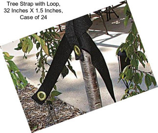 Tree Strap with Loop, 32 Inches X 1.5 Inches, Case of 24