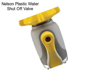 Nelson Plastic Water Shut Off Valve