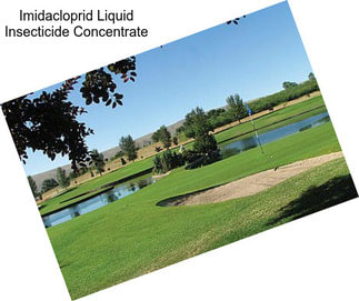 Imidacloprid Liquid Insecticide Concentrate