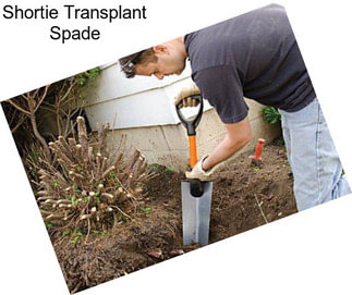 Shortie Transplant Spade