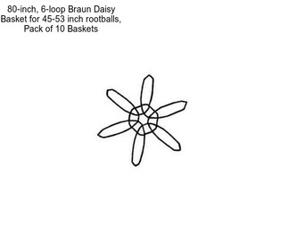 80-inch, 6-loop Braun Daisy Basket for 45-53 inch rootballs, Pack of 10 Baskets