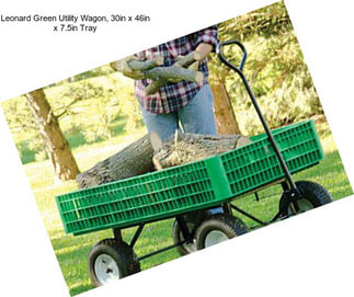 Leonard Green Utility Wagon, 30in x 46in x 7.5in Tray