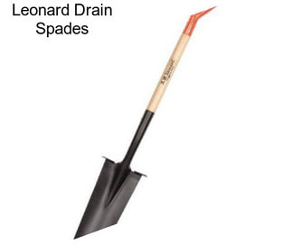 Leonard Drain Spades