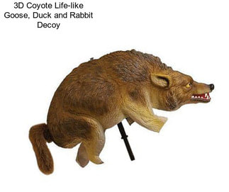 3D Coyote Life-like Goose, Duck and Rabbit Decoy