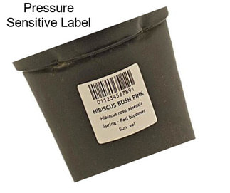 Pressure Sensitive Label