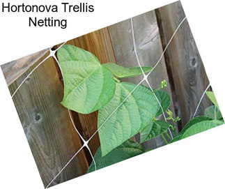 Hortonova Trellis Netting