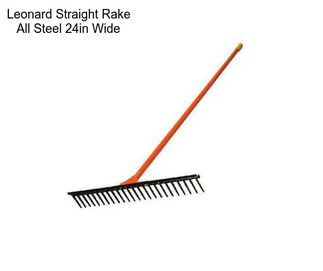 Leonard Straight Rake All Steel 24in Wide